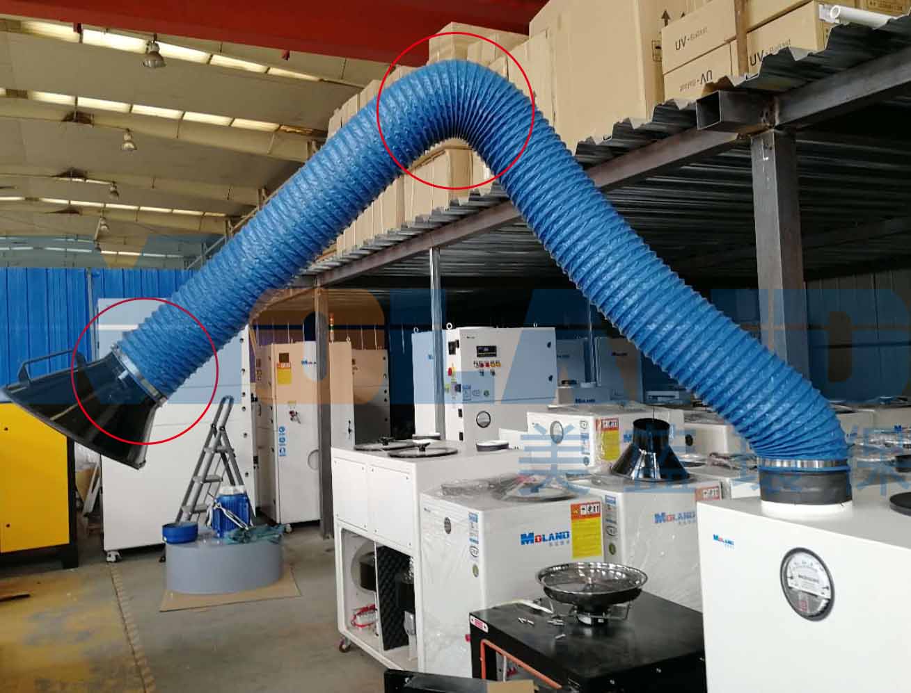 ����� (1).jpg